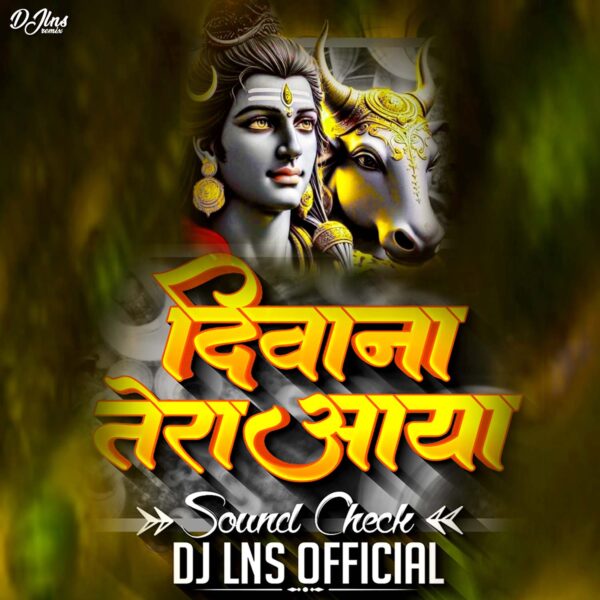 Deewana Tera Aaya Bhole (Sound Check) - DJ Lns