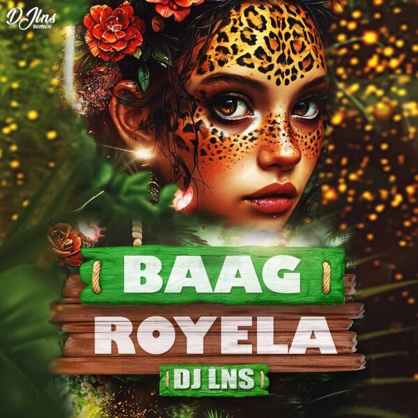 Baag Royela Dongari Cg Remix - DJ Lns